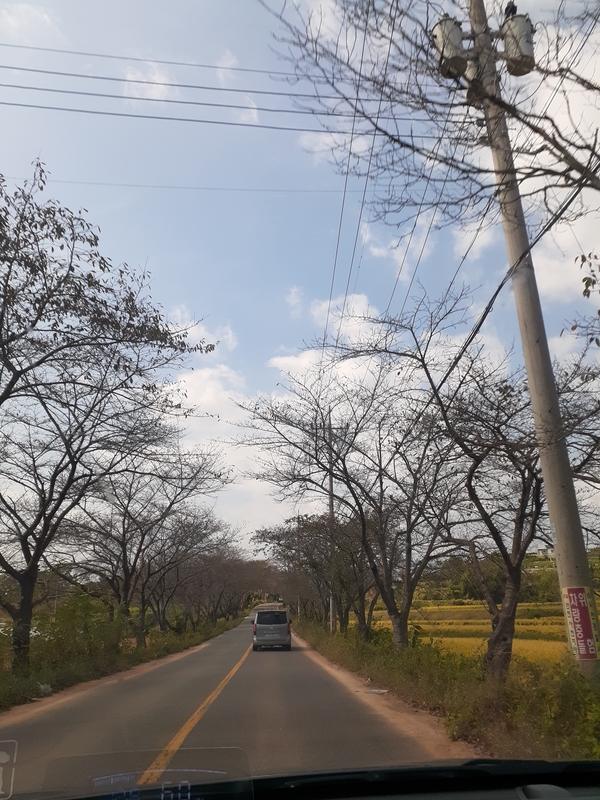  남해차키분실/남해자동차키/남해군 남해읍 차키/남해군 쉐보레 윈스톰 차키제작 등록/사천 진주 삼천포 남해 자동차키 제작/남해 쉐보레 윈스톰 차키제작 및 등록/남해 윈스톰 자동차키