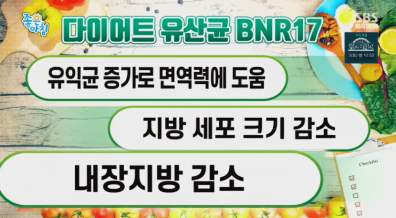 모유유래유산균BNR17다이어트효능체지방감소 3