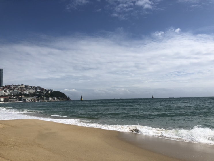  [즉흥 부산여행]-2day⋆͛⋆͛