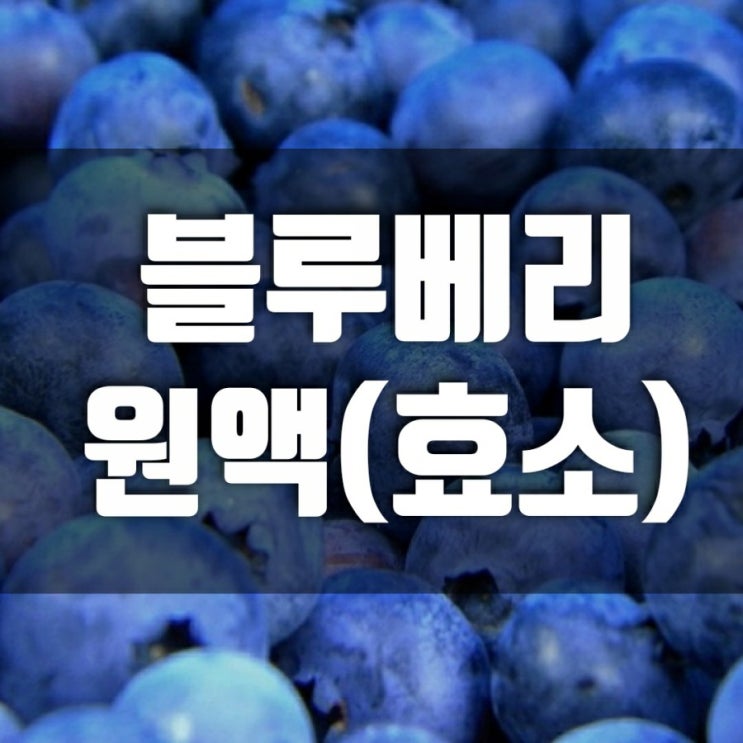 냉동 블루베리 필요없어요.100%블루베리원액(효소)으로 간편하게 냉동 블루베리 필요없어요.100%블루베리원액(효소)으로 간편하게