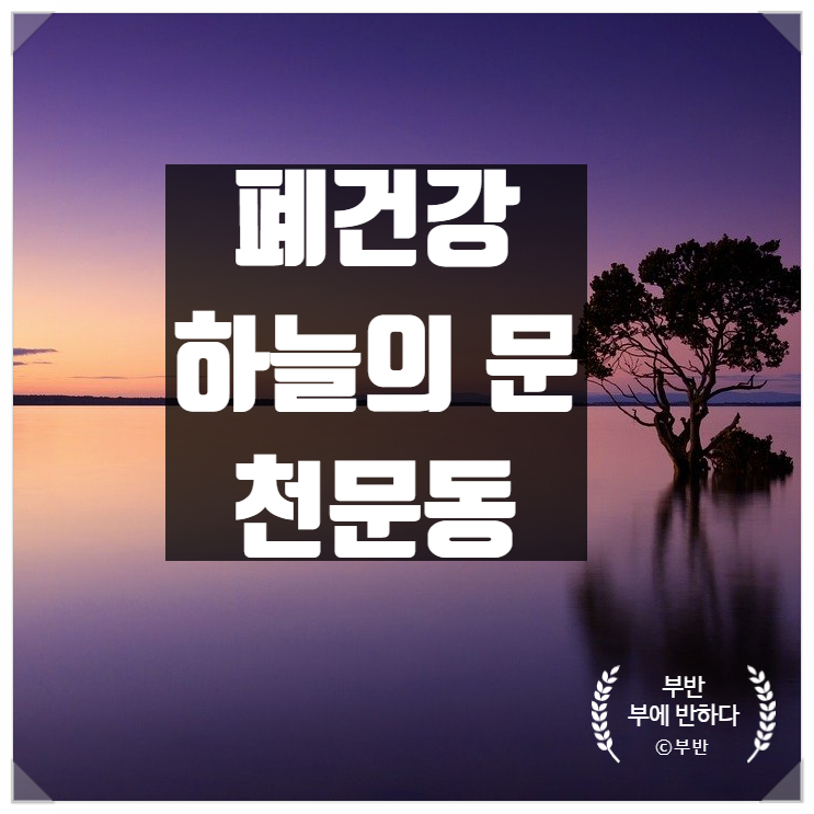  폐건강 관리 넘버원 천문동 하늘의 문을 열어주는 약초