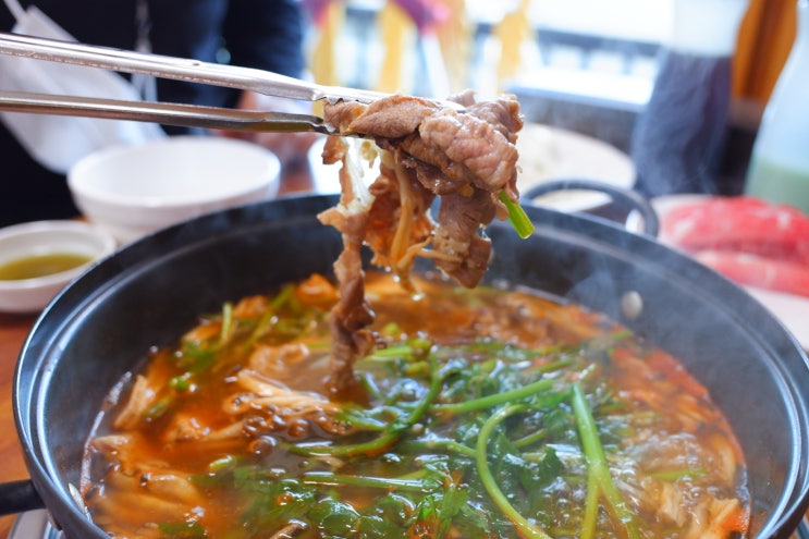  경남고성칼국수 얼큰이손칼국수  경남 고성 맛집