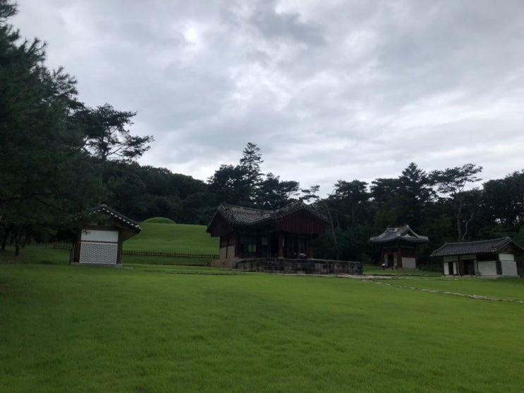  파주 삼릉 파주 가볼만한 곳 유네스코 세계문화유산
