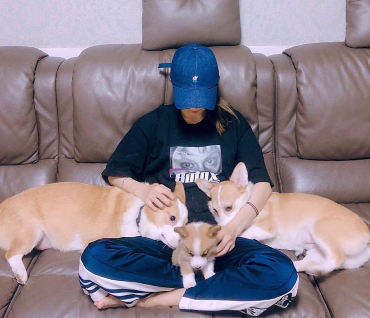 아이돌 멍멍 선수권 대회(아멍대) 라인업 아이돌 멍멍 선수권 대회(아멍대) 라인업