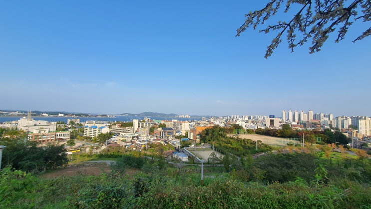  군산 여행 카페, 가볼 만한 곳, 월명공원, 한일옥, 이성당, 초원사진관, 수목원
