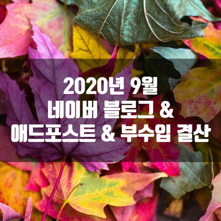  2020년 9월 네이버 블로그 & 애드포스트 & 부수입 결산