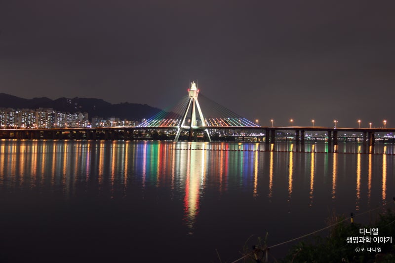 서울 나들이 : 잠실 생태화공원에서 바라본 서울 한강 야경 : 네이버 블로그