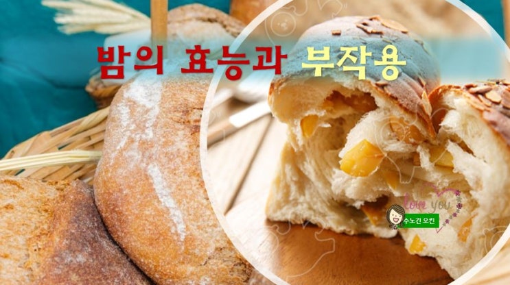  밤의효능과 밤의 부작용에 대해 알아볼께요^^