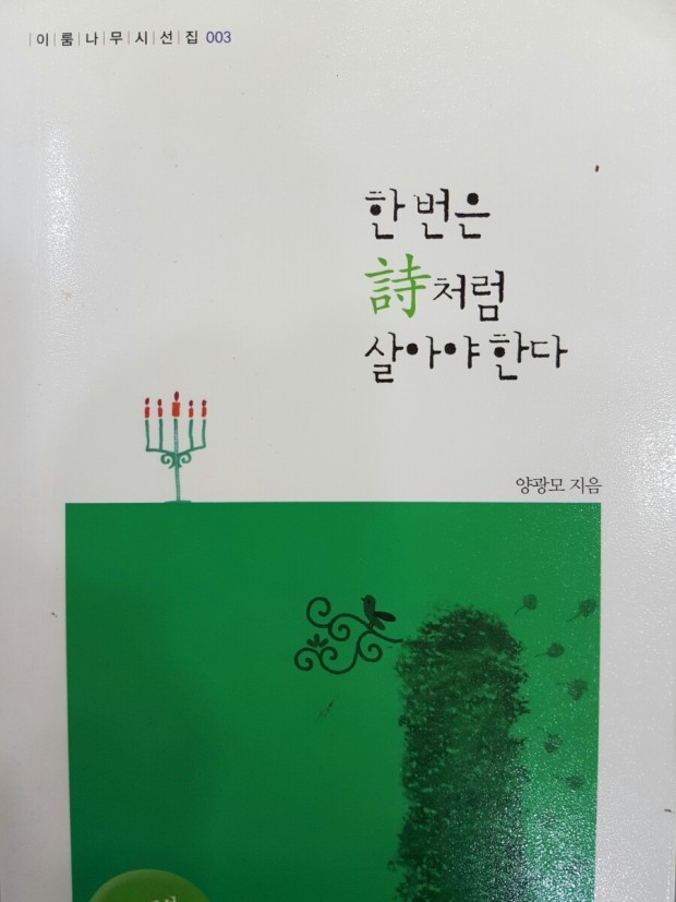  나는 알았다 -인생이란 결국 자신의 삶을 뜨겁게 사랑하는 방법을 깨우치는 일이라는 것을  인생을 통해 나는 내 삶을 사랑하는 법을 배웠다.