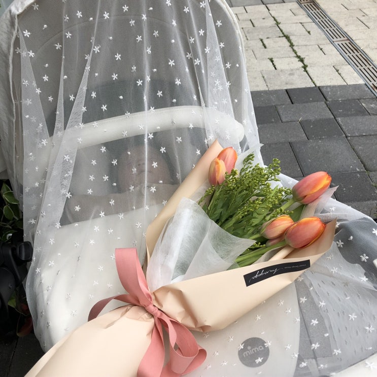  유모차가리개는 돗투돗으로!