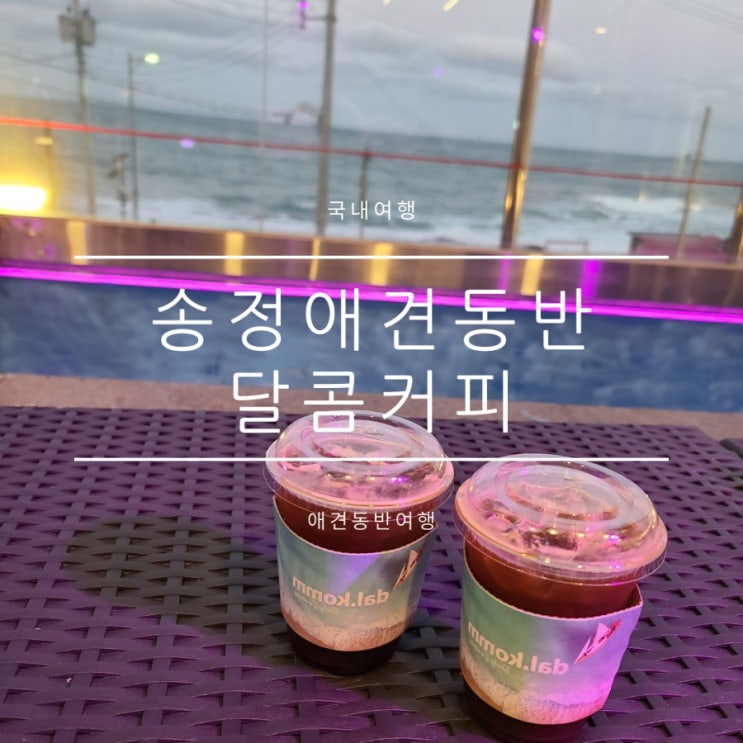 송정애견동반카페 달콤커피 아이동반카페추천 송정애견동반카페 달콤커피 아이동반카페추천
