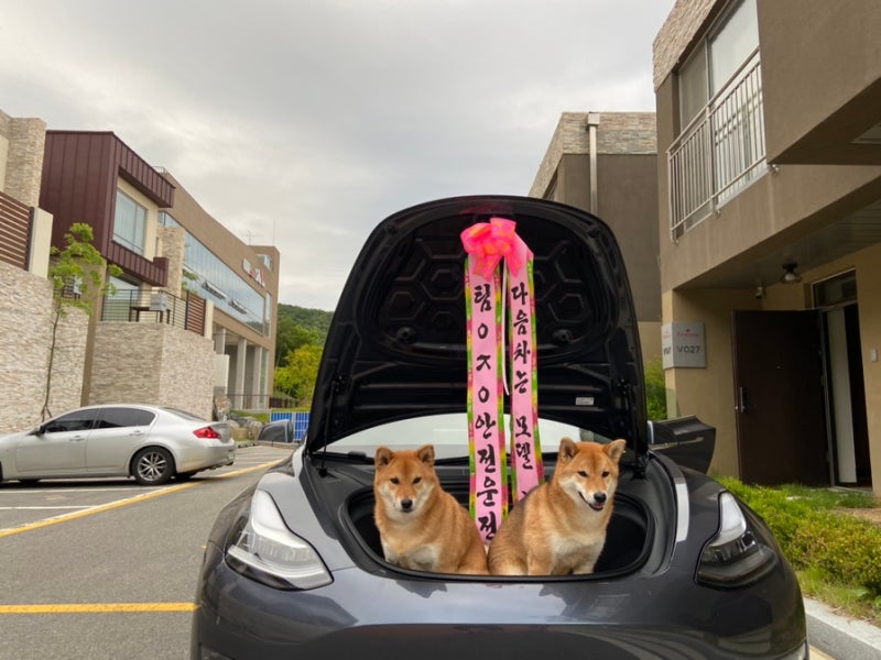 사진 5