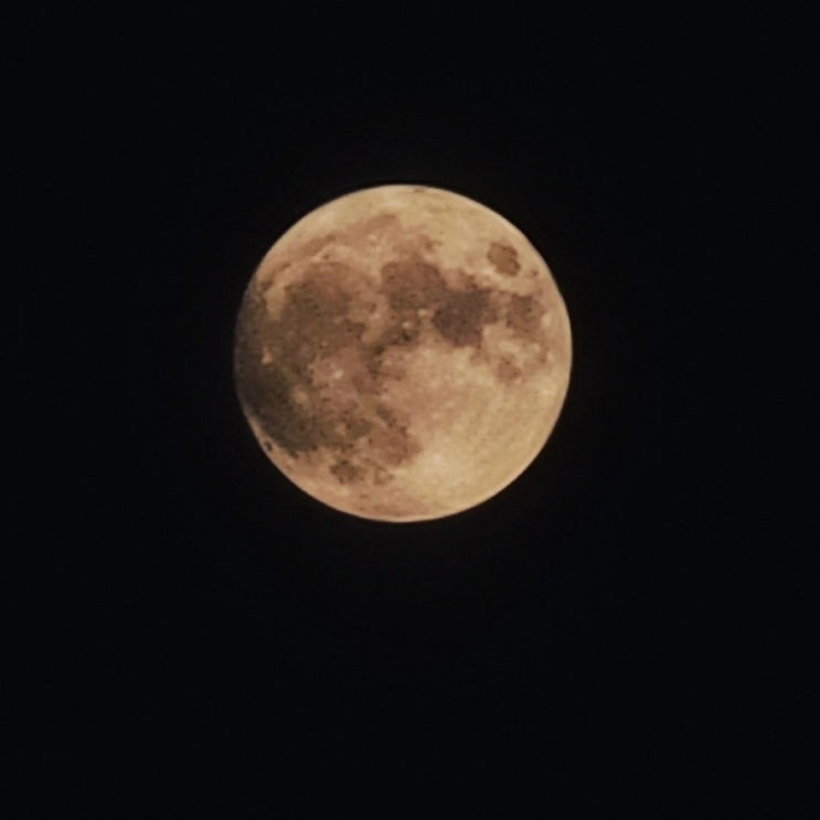  옥상에서 보름달보면서 소원빌기