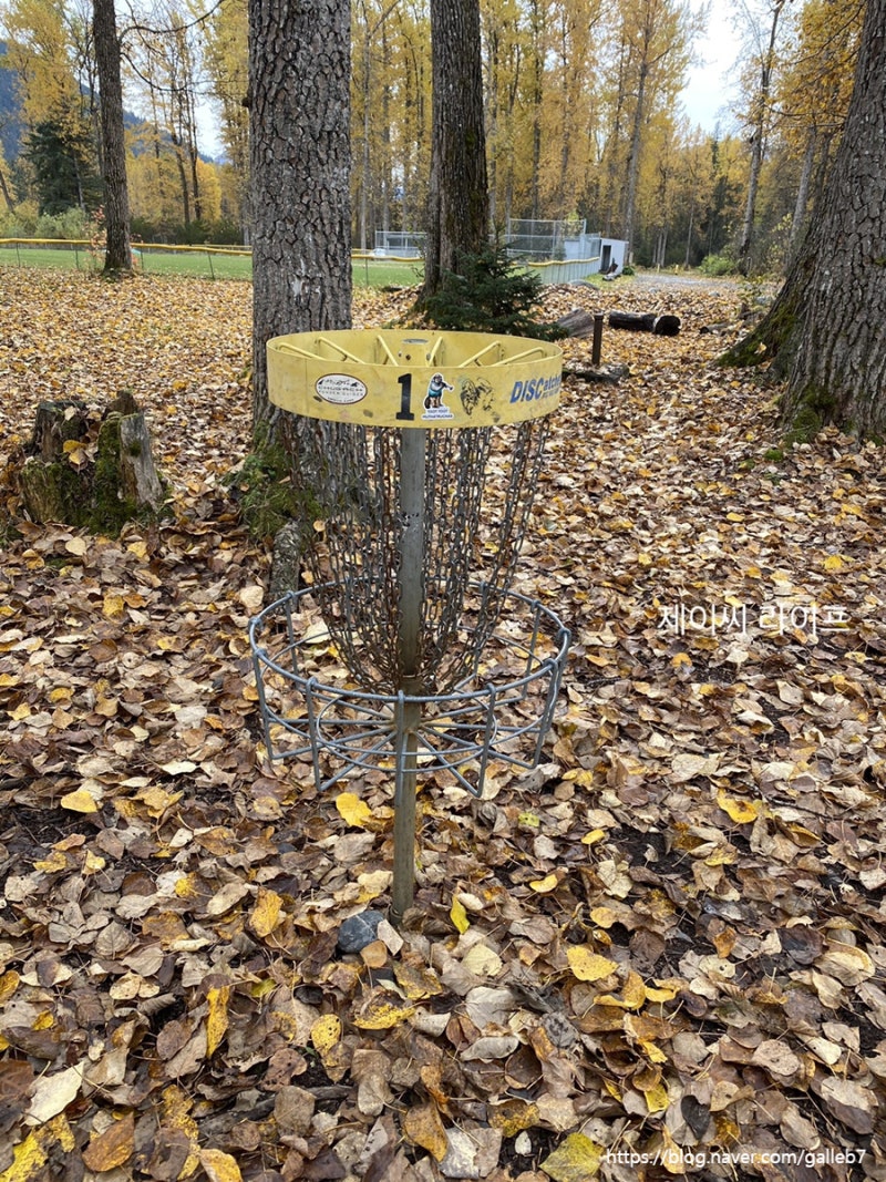 알래스카 국제부부 취미 :: 디스크 골프(DISC Golf) in Girdwood, 가을풍경속으로 원반 던지기 : 네이버 블로그, image size:800x1067