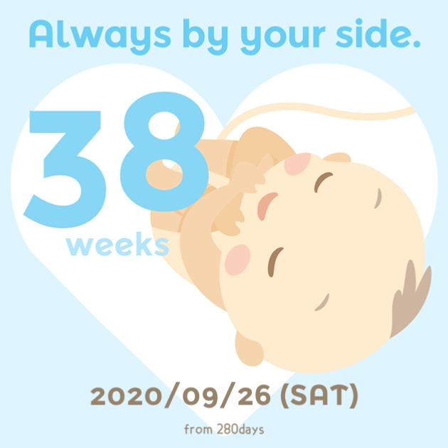  38주 임신기록c