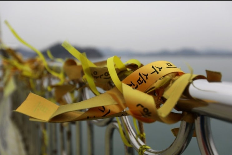 논란 속 '이근대위 세월호 때문에 돈 빌렸다'..'빚투'의진실은? 논란 속 '이근대위 세월호 때문에 돈 빌렸다'..'빚투'의진실은?