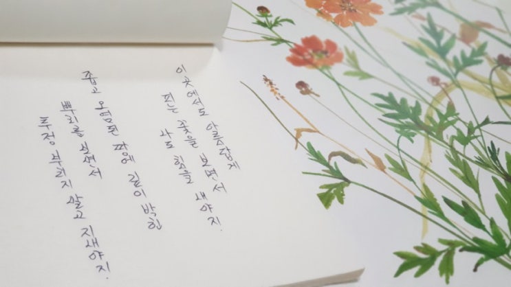  [ 연남천 풀다발 ]_그림책 추천