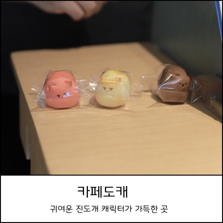 진도 가볼만한 곳]귀여운 진돗개 캐릭터로 가득한 인스타감성 카페도캐