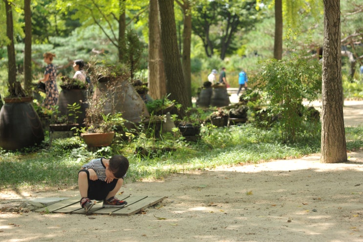 경기도 용인 한국민속촌 (당일 아이와 함께 가족 나들이 정보 요약)