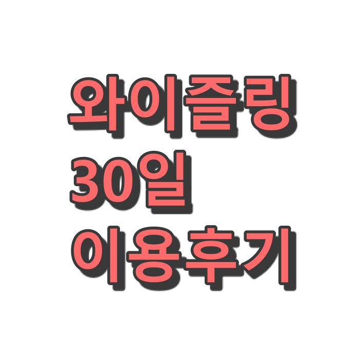  와이즐링 한 달 이용 후기