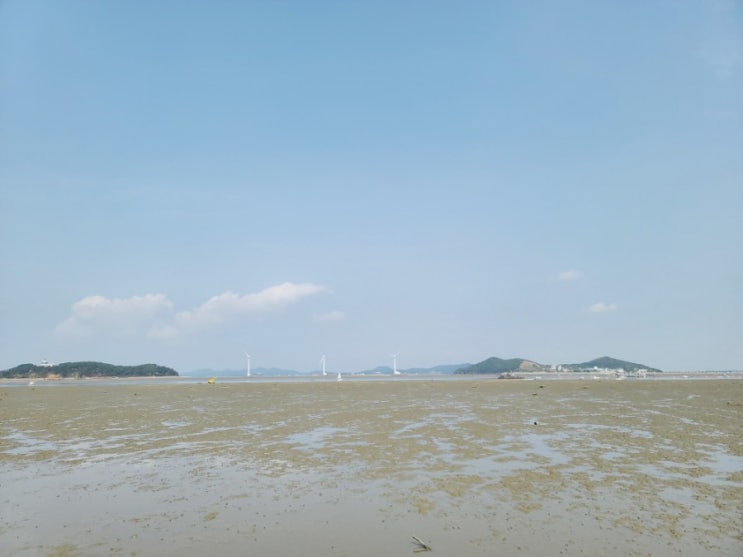  [제부도맛집]중앙횟집_섬여행코스요리_회,조개구이,칼국수