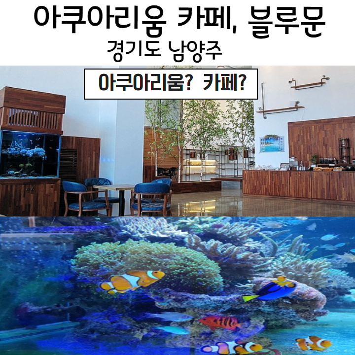  아쿠아리움이야?카페야? 남양주 블루문카페 (경기도 당일치기 여행)