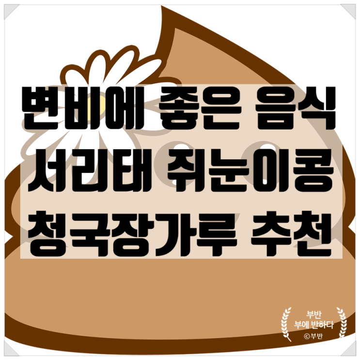  변비에 좋은 음식 쥐눈이콩 청국장가루 진짜 잘 선택함