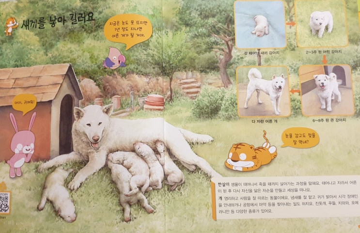  [솔루 과학 소개] 9권 우리 주변의 동물들