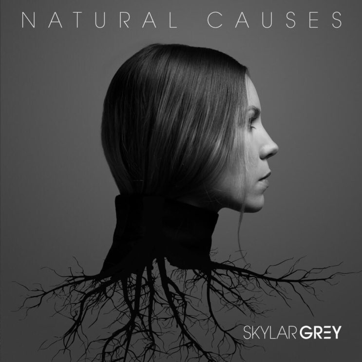 스카일라 그레이 (Skylar Grey) - Kill For You (ft. Eminem) 가사/번역 스카일라 그레이 (Skylar Grey) - Kill For You (ft. Eminem) 가사/번역
