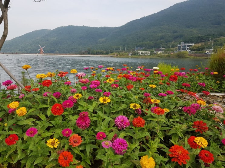  대구 힐링산책코스