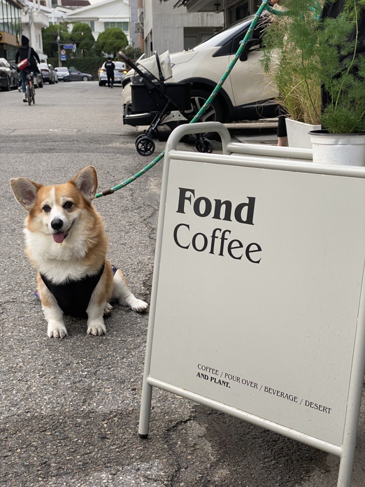 폰드커피 fondcoffee 서교동 애견동반 카페