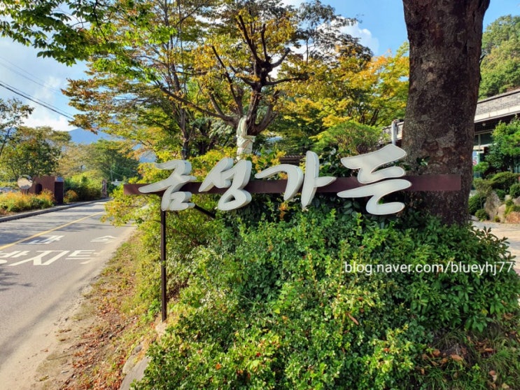  [남도 미식 여행] 순천 맛집 금성가든 (feat. 남도 반찬)