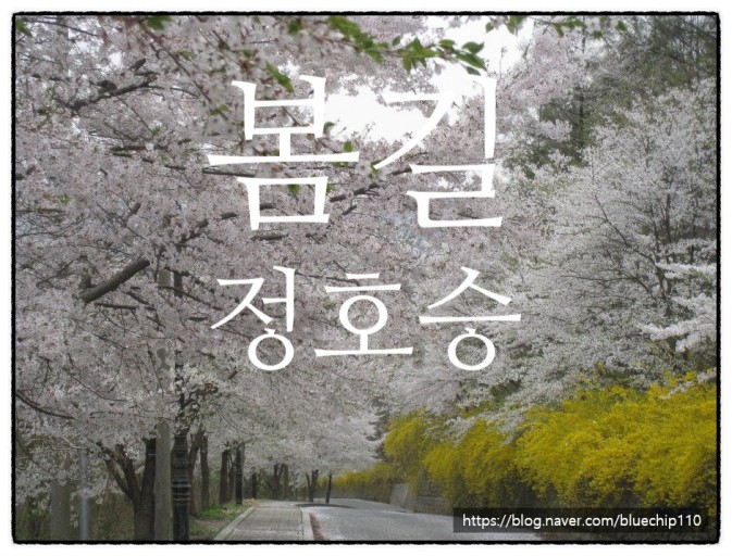 봄길 -정호승 봄길 -정호승