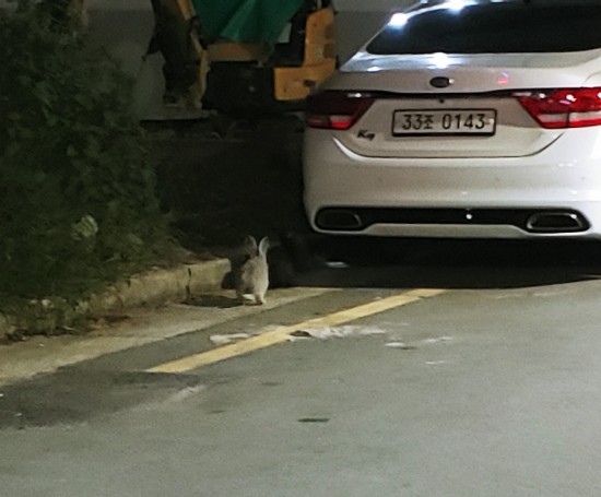데이트를 리뷰하는 남자[데리남] (니가 왜 거기서?토끼랑 말이?)동촌유원지, 혁신도시