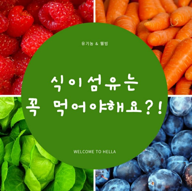  식이섬유 권장량, 식이섬유 효능