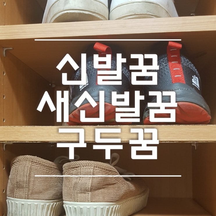  신발꿈 새신발 사는 꿈 구두꿈 다양한 꿈해몽 자세하게 풀이해드립니다