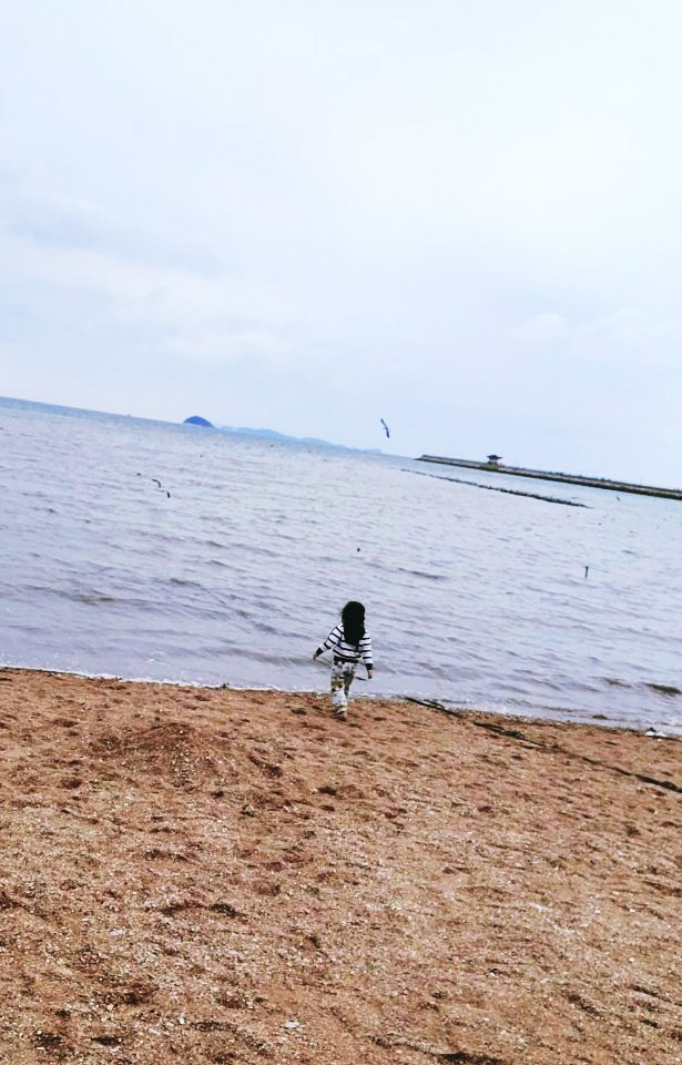 궁평항 궁평리해수욕장 아이랑 갈만한 곳 (주차팁,갯벌체험비,수산시장) 궁평항 궁평리해수욕장 아이랑 갈만한 곳 (주차팁,갯벌체험비,수산시장)