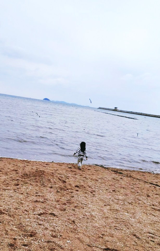 궁평항 궁평리해수욕장 아이랑 갈만한 곳 (주차팁,갯벌체험비,수산시장)