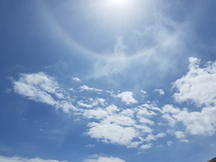  제4강 과제 스마트 에디터 ONE으로 쓰기