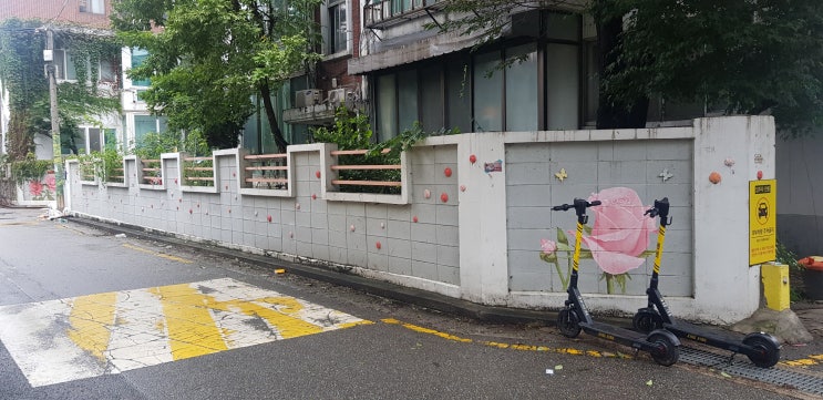 성수동 카페거리! 다양한 예쁜 카페 구경하기