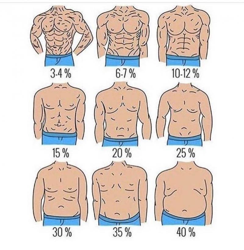 체지방률 비교 사진 : 네이버 블로그 체지방률 비교 사진 : 네이버 블로그