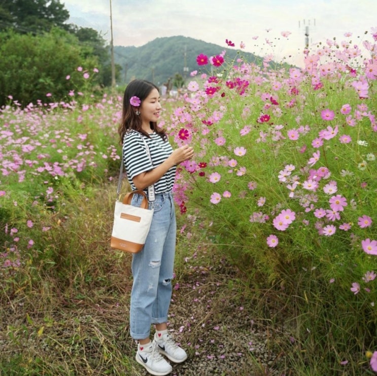  텀블러백 마르헨제이 코이백  데일리로 딱이야