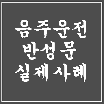  음주운전 반성문 실제 사례