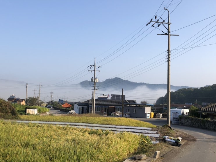 당신의 이번 추석연휴는 어떠했나요?