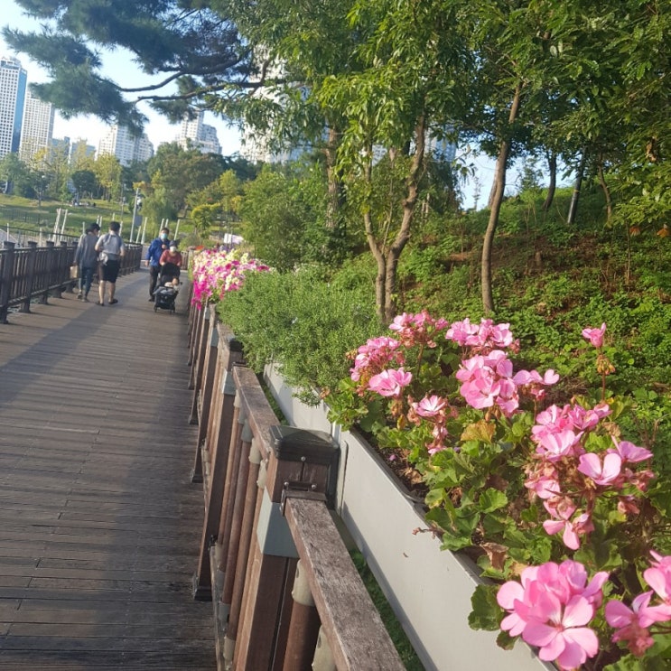 나훈아 비대면콘서트 본방송부터 스페셜까지 추석 안방 평정