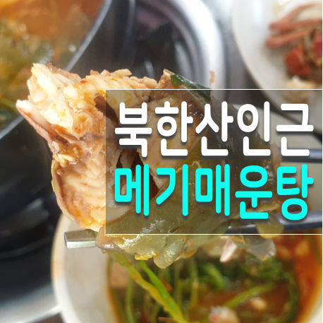 어부집 임진강매운탕 북한산 메기매운탕집으로 의외로 괜찮은 식당