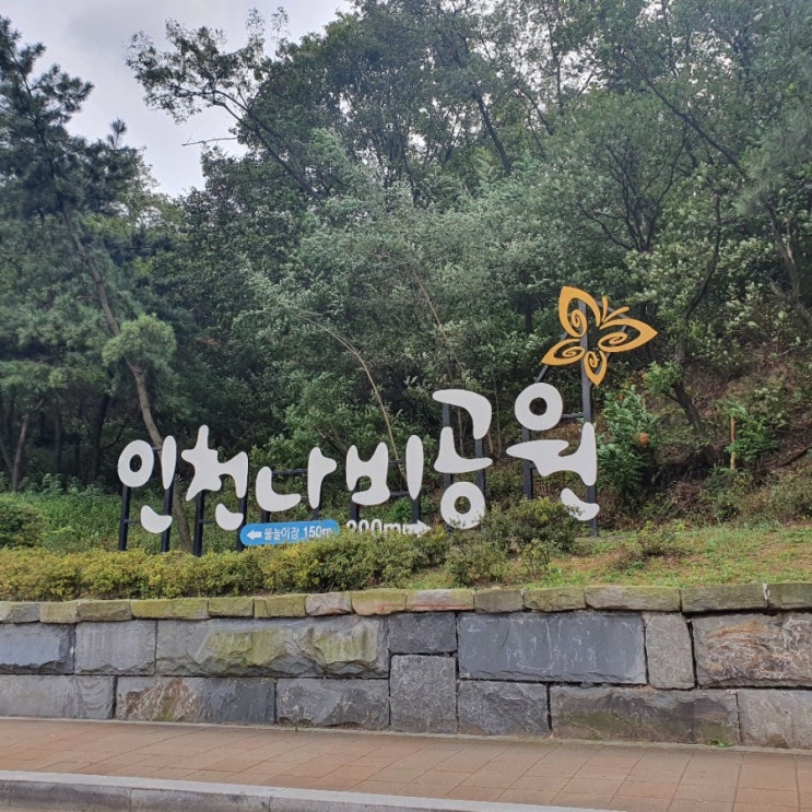 산책하기좋은곳-나비공원/ 장수산 산속카페 - 힐록