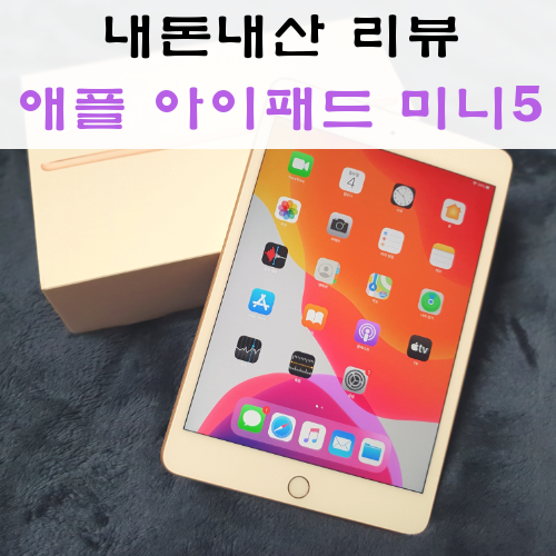 애플 아이패드 미니5, 힘들었던 내돈내산 구매 후기