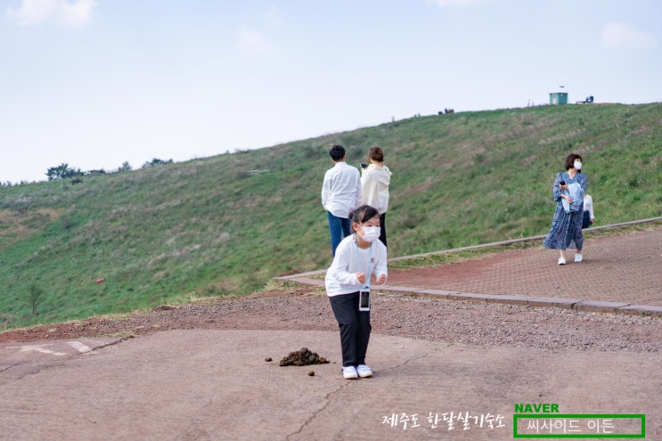  서부지역의 대표적 오름 "금오름"[제주도 한달살기 숙소 씨사이드 이든 추천]