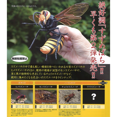  [출시 소식]  『BANDAI』 장수 말벌 2탄